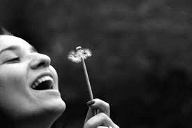 Article : La vie est Belle