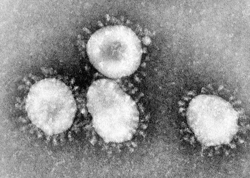Article : Des Dieux sur terre &agrave; l&rsquo;&eacute;preuve du Coronavirus, pfff
