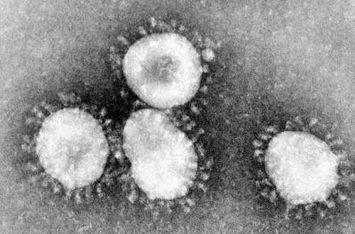 Article : Des Dieux sur terre à l’épreuve du Coronavirus, pfff