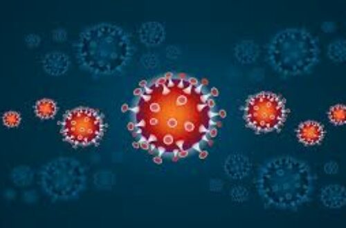 Article : Éradication de la pandémie du Coronavirus : mais que fait Dieu dans tout ça ? (suite)